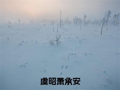 虞昭萧承安（萧承安虞昭）全本完整版免费阅读_(虞昭萧承安)萧承安虞昭全文章节目录_笔趣阁