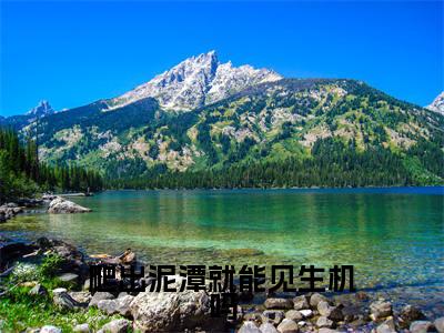 爬出泥潭就能见生机吗(晏别尘姜卓宁)全文免费阅读无弹窗大结局_爬出泥潭就能见生机吗最新章节列表