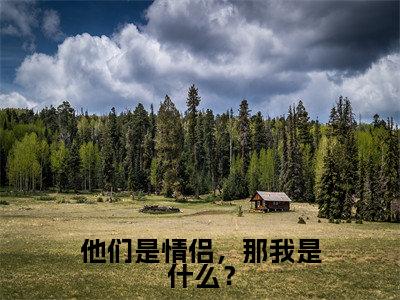 他们是情侣，那我是什么？盛邱辰姜沐禾完整版全文在线赏析-盛邱辰姜沐禾全文在线阅读