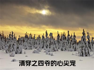 清穿之四爷的心尖宠(尹卿仪)小说全文大结局-(尹卿仪)全章节完整版在线阅读