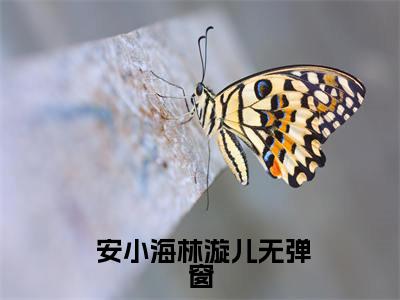 人生重开：看他如何逆天改命（ 安小海林漩儿）全文免费阅读无弹窗_ 安小海林漩儿小说_笔趣阁