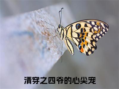 清穿之四爷的心尖宠小说(尹卿仪)全文免费阅读大结局_(清穿之四爷的心尖宠)尹卿仪小说免费阅读无弹窗