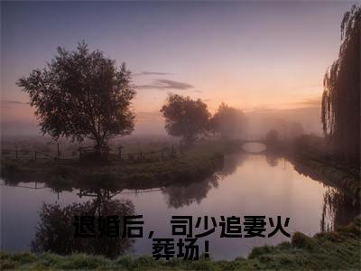 退婚后,司少追妻火葬场!全文免费阅读无弹窗大结局_(司夜辰欧颜)退婚后,司少追妻火葬场!全文免费无弹窗最新章节列表_笔趣阁