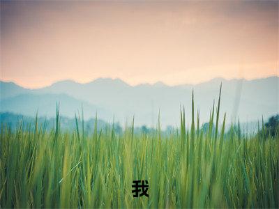 我，杂役弟子，剑道无敌 秦初二胖正版小说全文阅读  秦初二胖全文免费完整版