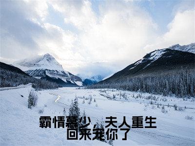 慕寒苏童小说在线阅读-霸情慕少,夫人重生回来宠你了小说最新章节阅读