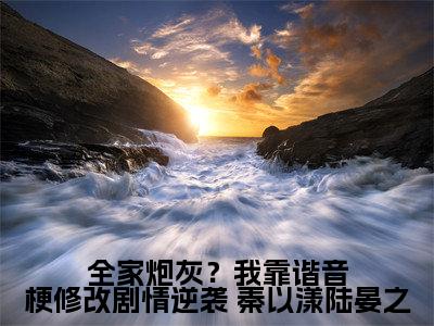 全家炮灰？我靠谐音梗修改剧情逆袭全文免费阅读无弹窗大结局_全家炮灰？我靠谐音梗修改剧情逆袭( 秦以漾陆晏之)小说结局免费阅读（ 秦以漾陆晏之）