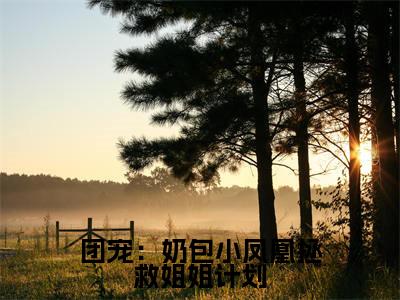 云垚(团宠:奶包小凤凰拯救姐姐计划)全文免费阅读_(团宠:奶包小凤凰拯救姐姐计划)云垚最新章节列表_笔趣阁