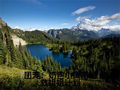 团宠:奶包小凤凰拯救姐姐计划:云垚全文免费阅读无弹窗大结局_团宠:奶包小凤凰拯救姐姐计划:云垚免费阅读