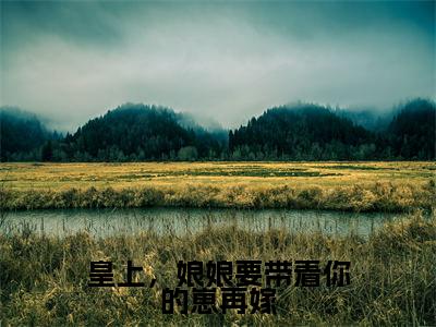 赵连娍李行驭抖音新书热荐 -皇上，娘娘要带着你的崽再嫁全文在线赏析（赵连娍李行驭）
