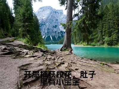 林峰开局捕获校花,肚子里有小宝宝最新章节小说推荐阅读-新书开局捕获校花,肚子里有小宝宝大结局