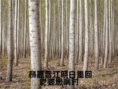 重回老婆患病时，他洗心革面你逆袭了（ 林嘉音江晓白）全文免费在线阅读_重回老婆患病时，他洗心革面你逆袭了全文阅读_笔趣阁（ 林嘉音江晓白）