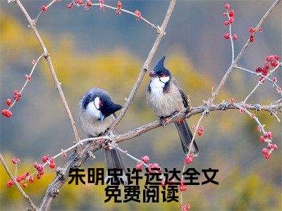 大明铁骨小说全文免费阅读无弹窗大结局_大明铁骨最新章节列表_笔趣阁