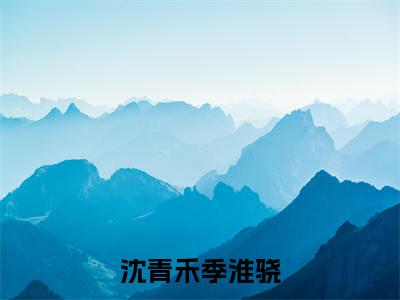 季淮骁沈青禾沈青禾季淮骁完结小说-沈青禾季淮骁全文免费阅读无弹窗