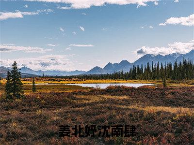 沈南肆姜北妤（姜北妤沈南肆）最新免费小说（沈南肆姜北妤）全文大结局-姜北妤沈南肆今日已更新最新章节