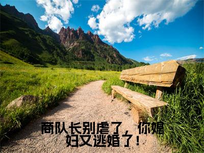 商队长别虐了,你媳妇又逃婚了!全文免费阅读无弹窗_(秦悦雅商励)全文在线阅读大结局