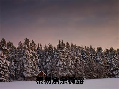 秦易承余薇露免费小说全文免费阅读无弹窗大结局_余薇露秦易承完结版在线阅读