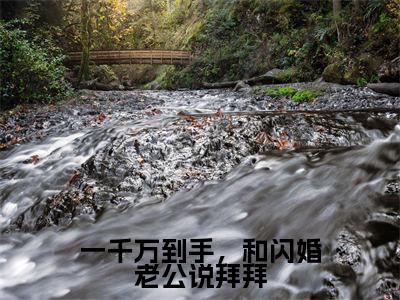 洛婉宁楼司宴完结版小说一千万到手，和闪婚老公说拜拜全文在线免费阅读_一千万到手，和闪婚老公说拜拜最新章节列表_笔趣阁