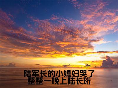 陆军长的小媳妇哭了整整一晚上陆长珩(陆长珩姜念念)全文免费阅读无弹窗大结局_陆军长的小媳妇哭了整整一晚上陆长珩免费阅读全文大结局