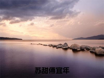 傅宜年苏甜小说(苏甜傅宜年)全文免费阅读无弹窗大结局_苏甜傅宜年小说最新章节_笔趣阁(傅宜年苏甜)
