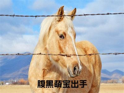 腹黑萌宝出手，皇帝爹爹休想抱娘亲小说全文免费阅读无弹窗-（ 沈灼萧屹阅读无弹窗）穿越小说免费阅读_笔趣阁