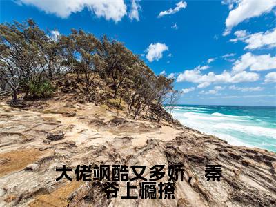 大佬飒酷又多娇,秦爷上瘾撩(陆蕴秦凛)全文免费阅读大结局_陆蕴秦凛免费在线阅读无删减