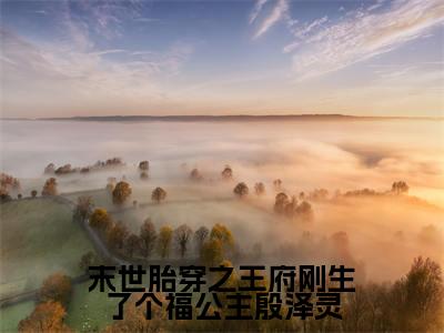 末世胎穿之王府刚生了个福公主殷泽灵小说免费阅读 殷泽灵完整版全文大结局