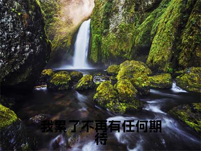 我累了不再有任何期待(桑梦季斯汀)全文免费阅读无弹窗无删减_小说(我累了不再有任何期待)桑梦季斯汀最新章节列表笔趣阁