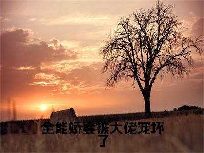 全能娇妻被大佬宠坏了（ 傅宸轩楚云阮小说）全文免费阅读无弹窗大结局_ 傅宸轩楚云阮完整版小说阅读