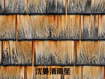 沈晏清南笙（沈晏清南笙）全网首发最新小说-主角沈晏清南笙全文在线免费阅读