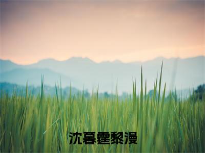 黎漫沈暮霆(沈暮霆黎漫)小说全文-沈暮霆黎漫小说免费阅读大结局