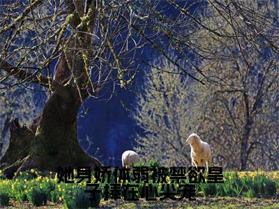 她身娇体弱被禁欲皇子捧在心尖宠(苏若棠墨瑢晏)全文免费阅读无弹窗_苏若棠墨瑢晏最新小说精彩推荐