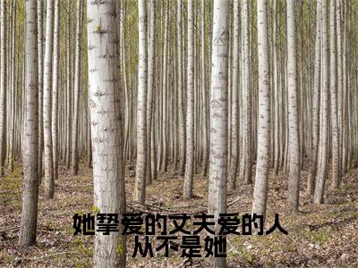 柳清棠宋时轩新书她挚爱的丈夫爱的人从不是她看全文小说-柳清棠宋时轩小说资源阅读她挚爱的丈夫爱的人从不是她