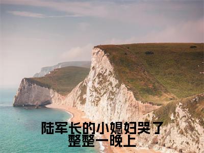 陆长珩姜念念(陆军长的小媳妇哭了整整一晚上)全文免费阅读无弹窗_陆长珩姜念念陆军长的小媳妇哭了整整一晚上最新章节免费阅读_笔趣阁