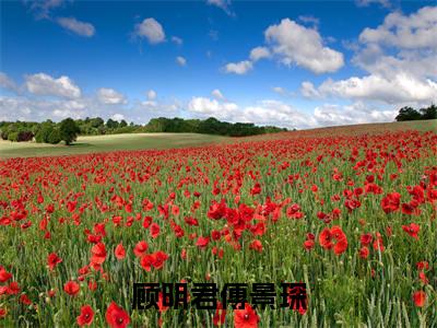 顾明君傅景琛小说(傅景琛顾明君)全文免费阅读大结局_(顾明君傅景琛)傅景琛顾明君小说免费阅读无弹窗