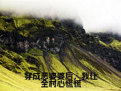小说(穿成恶婆婆后,我让全村心慌慌)全文免费阅读_(林九娘)小说全文免费阅读