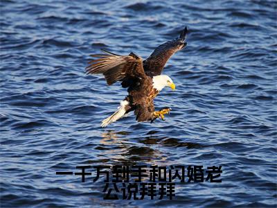 一千万到手和闪婚老公说拜拜全文免费阅读无弹窗_（洛婉宁楼司宴）全文在线阅读大结局