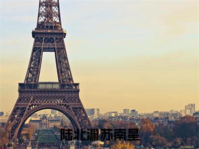 苏南星陆北渊（陆北渊苏南星）全文阅读完整版_陆北渊苏南星小说免费阅读大结局（苏南星陆北渊）