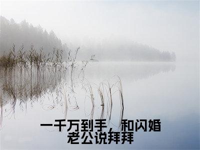 一千万到手，和闪婚老公说拜拜全文免费阅读大结局 洛婉宁楼司宴最新章节列表