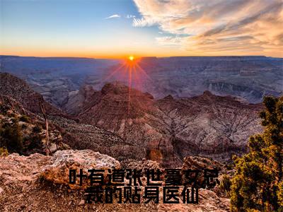 ﻿ 叶有道张世豪（女总裁的贴身医仙）全文免费阅读无弹窗大结局_（ 叶有道张世豪）最新章节列表_笔趣阁（女总裁的贴身医仙）