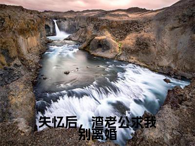 失忆后,渣老公求我别离婚(陆寒山乐颜)全网首发最火小说-主角陆寒山乐颜的小说完整版免费阅读