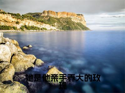 夏慕轻江谨辰(她是他亲手养大的玫瑰全章节完整版)免费阅读_(夏慕轻江谨辰)全文无删减免费阅读(夏慕轻江谨辰)