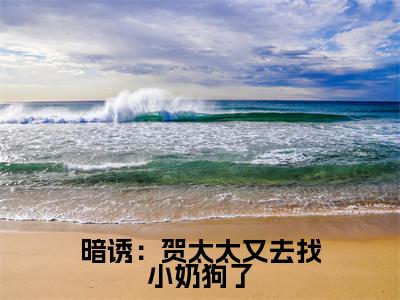 暗诱：贺太太又去找小奶狗了贺庭舟温欲晚免费小说 贺庭舟温欲晚全文无弹窗完整版阅读
