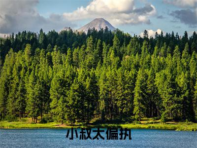 小叔太偏执小说全文免费阅读-（闻燃向晏礼）小叔太偏执精选小说大结局阅读