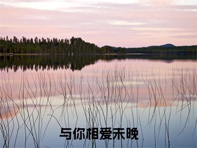 傅文聿温念希是什么小说 与你相爱未晚正版小说免费阅读_笔趣阁