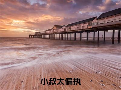 小叔太偏执(闻燃向晏礼小说)全文免费阅读无弹窗大结局_小叔太偏执最新章节列表_笔趣阁(闻燃向晏礼小说)