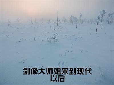 剑修大师姐来到现代以后免费小说_余慧林冬免费最新章节列表_笔趣阁
