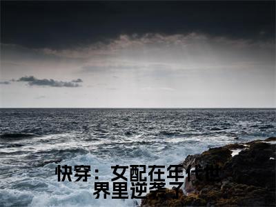 快穿：女配在年代世界里逆袭了( 沈婉清沈国安)小说全文免费阅读无弹窗大结局_（快穿：女配在年代世界里逆袭了全文免费阅读） 沈婉清沈国安最新章节列表