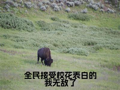 夜千羽(全民接受校花表白的我无敌了)全文免费阅读无弹窗大结局_(全民接受校花表白的我无敌了无弹窗)最新章节免费阅读_笔趣阁