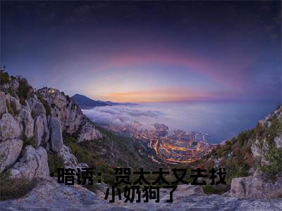 暗诱:贺太太又去找小奶狗了热门榜单小说 贺庭舟温欲晚完本小说无弹窗免费阅读