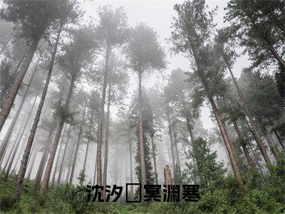 沈汐玥冥渊寒(沈汐玥冥渊寒)全文免费阅读无弹窗大结局_沈汐玥冥渊寒(沈汐玥冥渊寒无弹窗)_笔趣阁